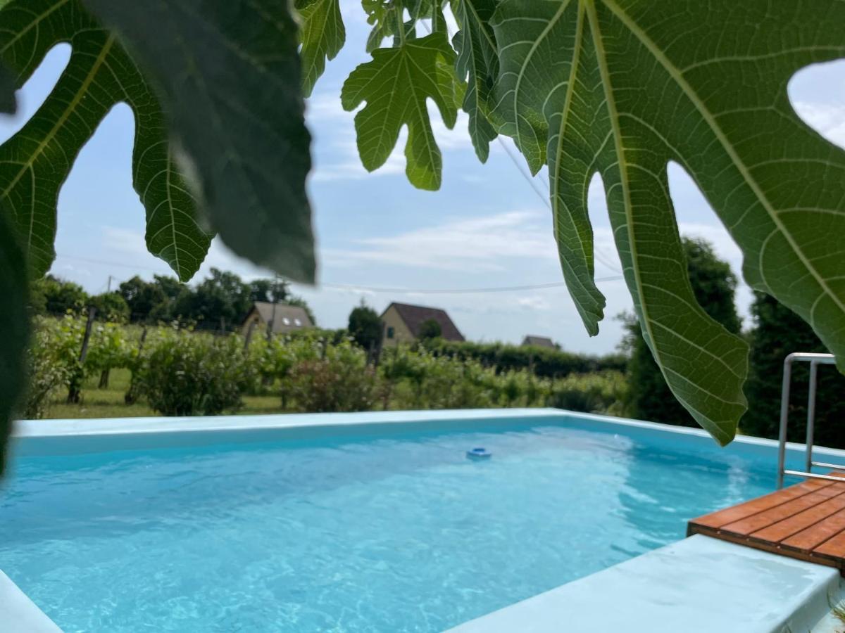 Fuege Vendeghaz Villa Lovas Exterior photo